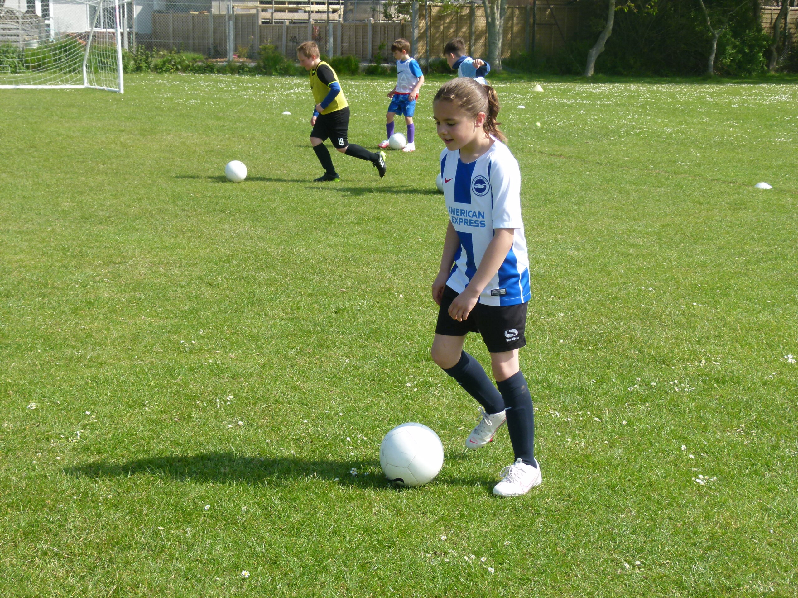 Gallery – Next Step Coaching